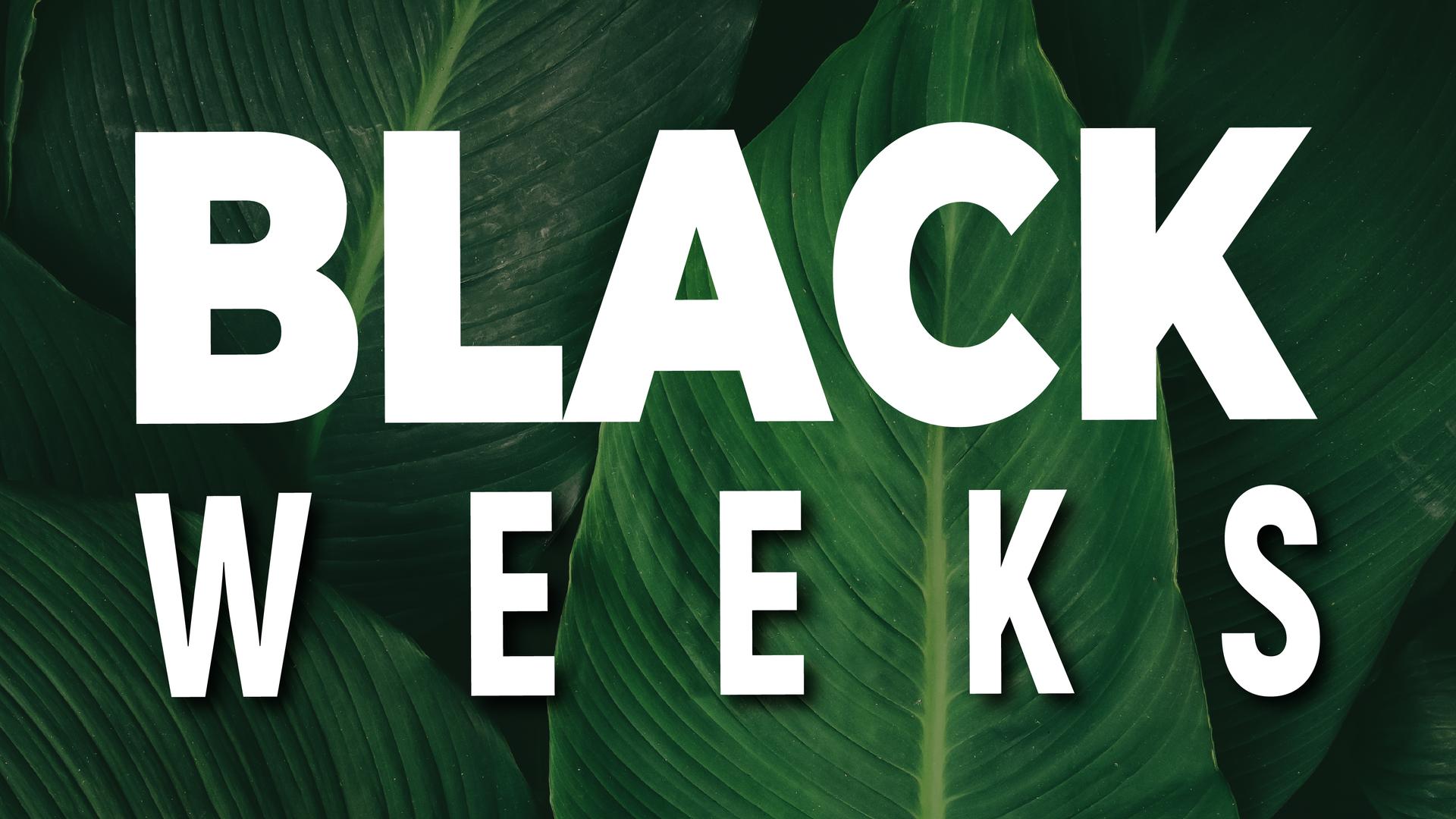 Appartements BC Music Resort™ (Recommended for Adults) Benidorm Appartements BC Music Resort™ (Recommended for Adults) Benidorm