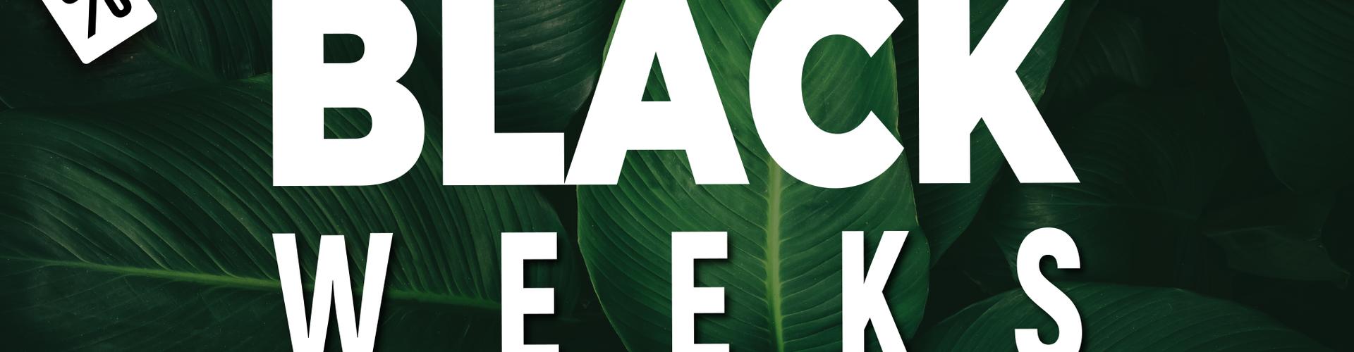 BC Music Resort - Benidorm - BC Music Resort - Benidorm -