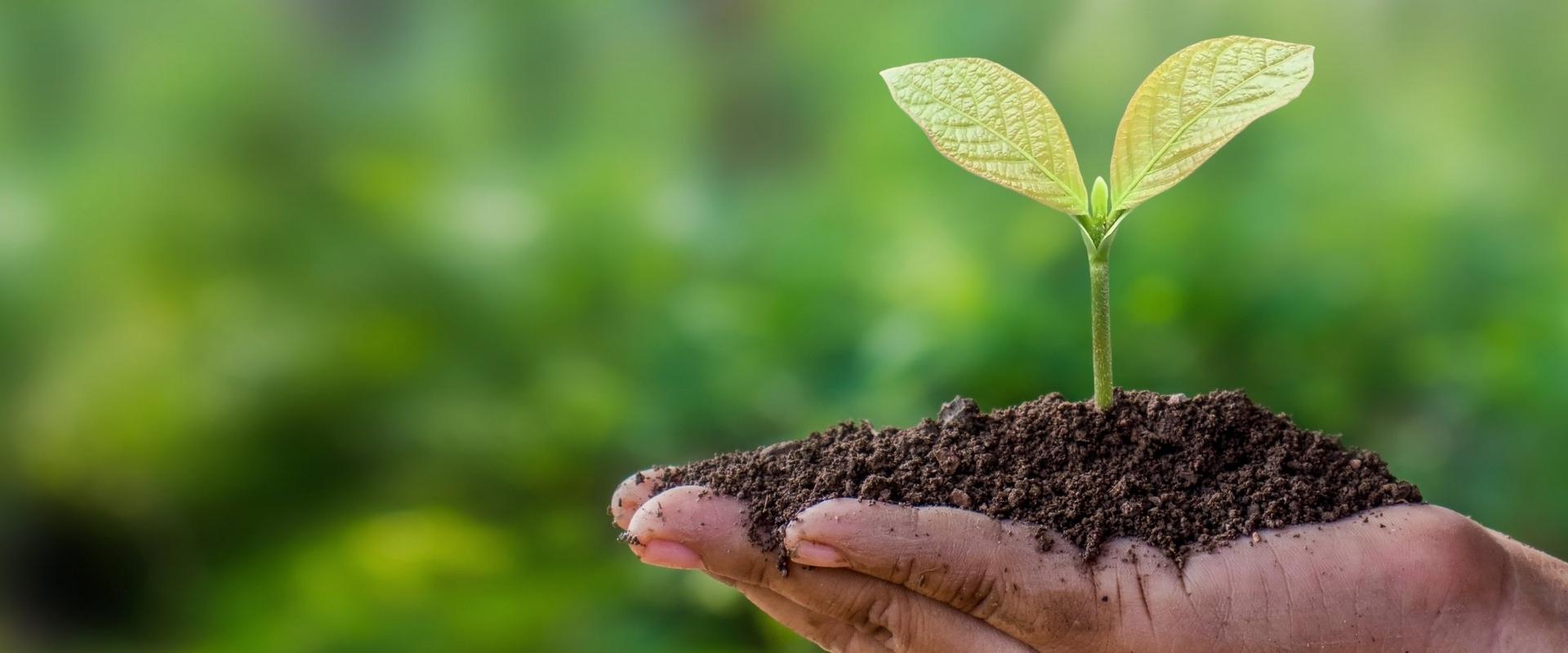 Appartements BC Music Resort™ (Recommended for Adults) Benidorm Appartements BC Music Resort™ (Recommended for Adults) Benidorm